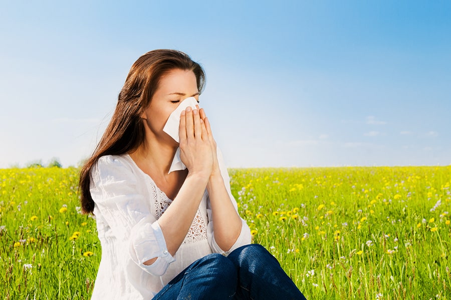Remèdes allergies - La Bourdon du Bourdon