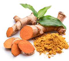 Curcuma - La Boutique du bourdon