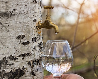 Eau pure