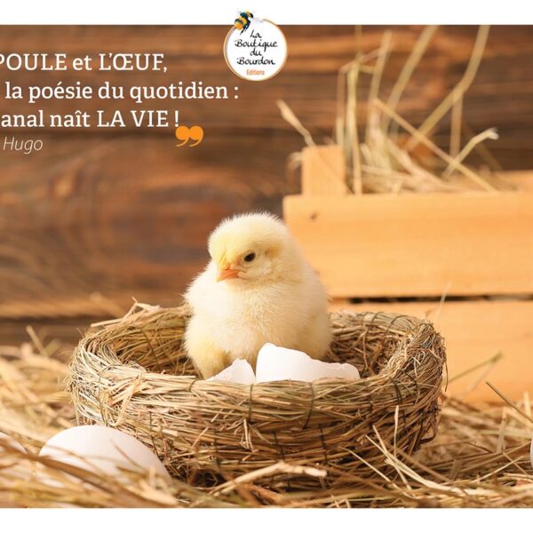 Carte A5 Citation Oeuf