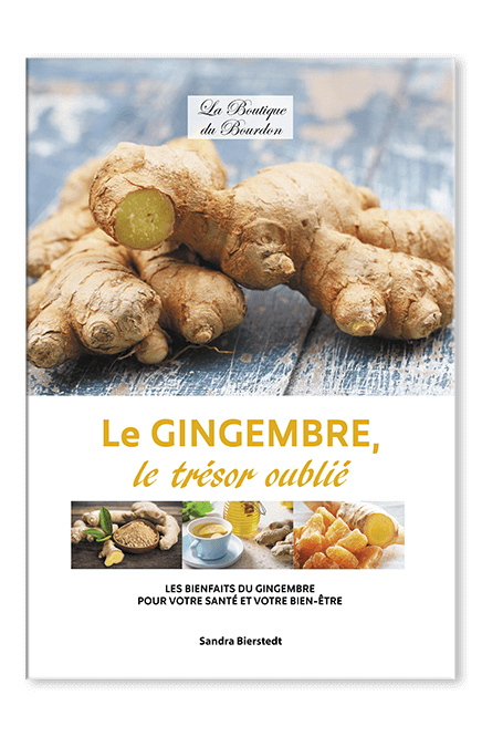 Le Gingembre, le Trésor oublié