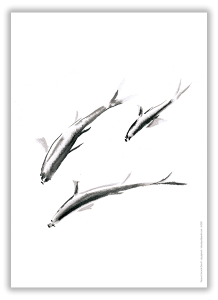 poissons