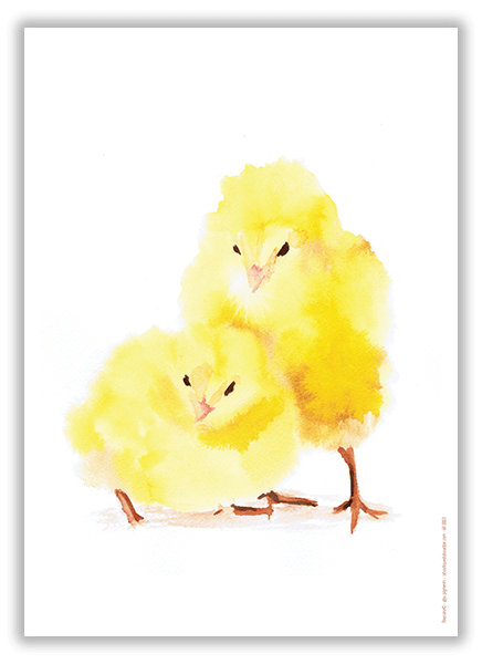 poussins
